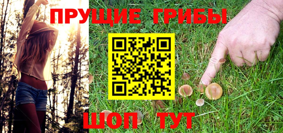 Татарск  Галлюциногенные грибы Magic Shrooms  магазин    Вход с VPN 